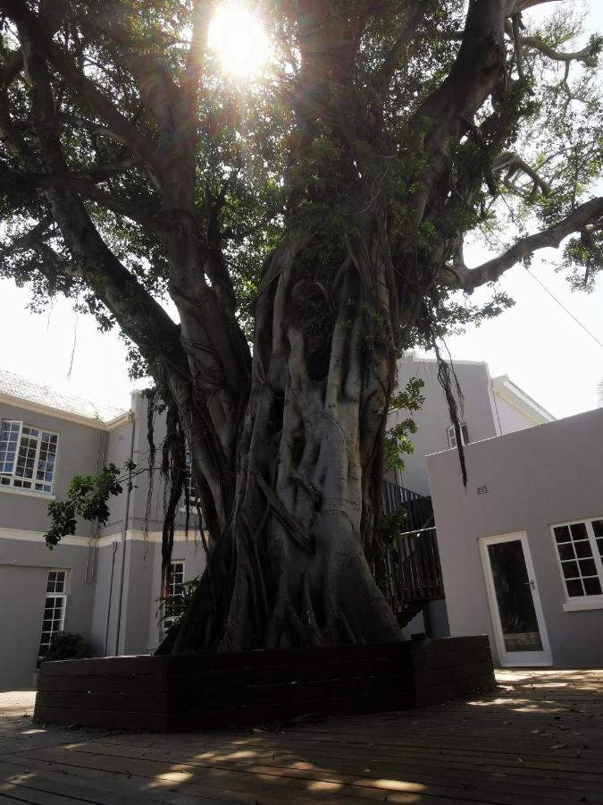 Dawson Manor Guest House East London Buitenkant foto